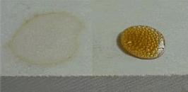 impregneren van natuursteen, www.hilstone.nl