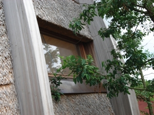 giraffenhuis, blijdorp, detail, foto joostdevree