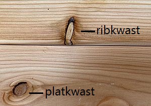 klein filosoof Premier noest, kwast