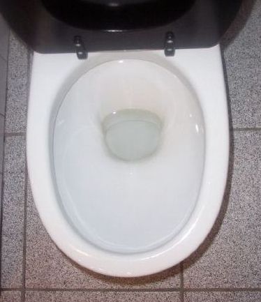 beest Groene bonen Philadelphia toilet, toiletpot, wc