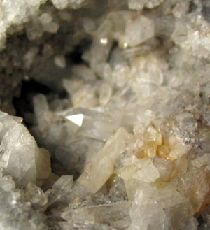 kwarts, www.paleontology.nl