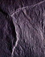 (site was ooit: www.natuursteen.nl)