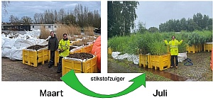 veenmotor 1 wortelblok groeiproces www gevouwenoevers nl 300px